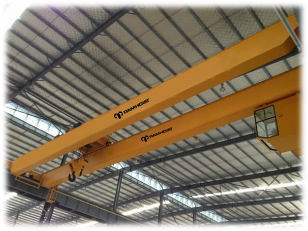 Professional Supplier of Double Girder Overhead Cranes2.png