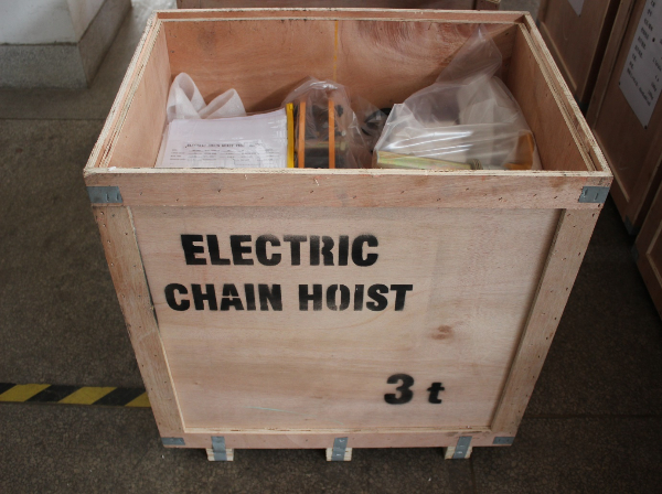 Professional Supplier of RM Electric Chain Hoists12-12.jpg