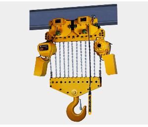Motor Powered Lifting Electric Chain Crane 10 Ton Hoist with Monorail Electric Trolley