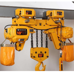 Good Quality 2t, 3t, 5t Fixed Type or Beam Trolley Electric Chain Block Crane Hoist with Overload Protection