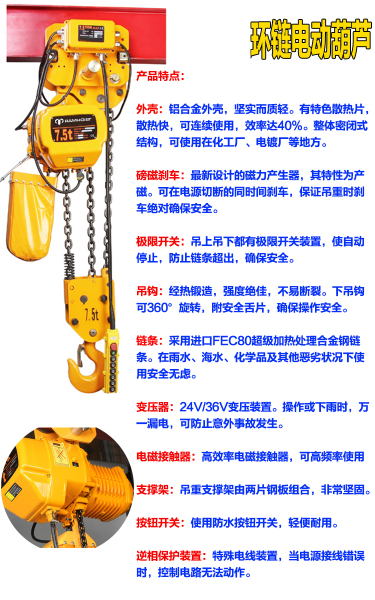Professional Supplier of RM Electric Chain Hoists43-2.jpg
