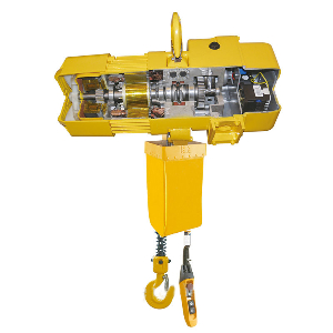 Single Voltage or Dual Voltage Crane Electric Chain Engine Trolley Hoist with Competitve Price
