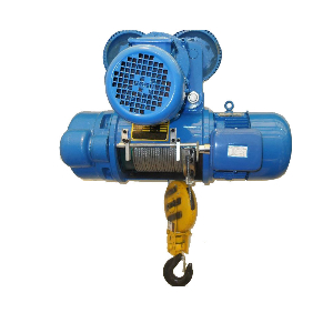 High Quality hot sale manufacturers 3 5 10 ton winch wireless remote control motor lifting wire rope electric Winch Hoist