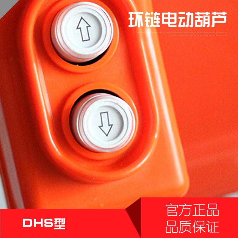 China Supplier of DHS Electric Chain Hoists1-2.jpg