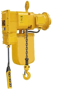 Hot Sale 1ton 2ton 5ton Explosion Proof or Anti-Explosion 380V Three Phase Electric Ring Chain Trolley Hoist for Industry
