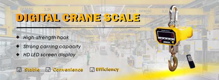 Crane Scales4-4.jpg