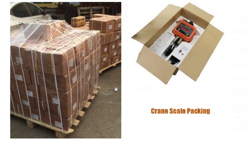 Crane Scales10-8.jpg