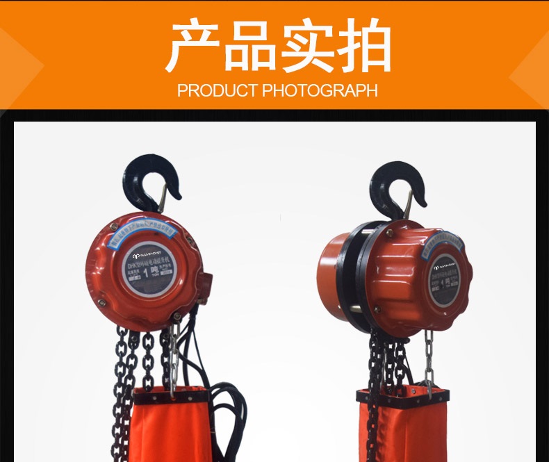 Professional Supplier of DHK electric chain hoist6-4.jpg