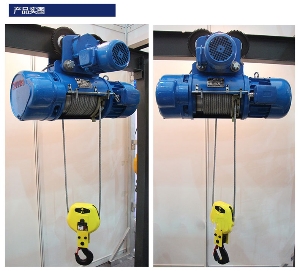 10% discount CD1/MD1 model 10ton 9M wire rope electric hoist