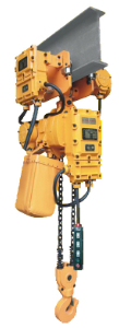Different Capacities of Explosion-proof type Electric Chain Hoists made in china