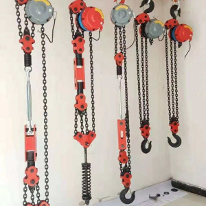 Quote to DHP electric chain hoist 5 T and 10 Tons