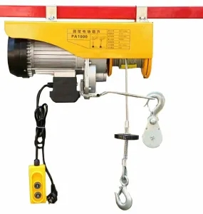 Inquiry about PA1000 Mini Electric Wire Rope Hoist from U.S.