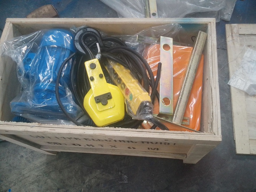 Default wire rope hoist with control pendant but do not include control box.jpg
