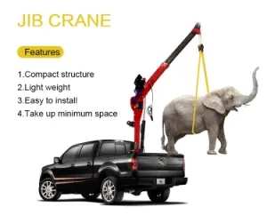 Inquiry about New Fixed Electric Davit Crane, Mini Truck Car Mounted Cranes from United States