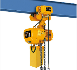 Details with prices for electric chain hoist made in china requested by Nigeria