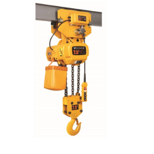 Technical details and prices of RM electric chain hoist for Mexico