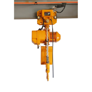Product detail with price for electric chain hoist and electric wire rope hoist requested by India