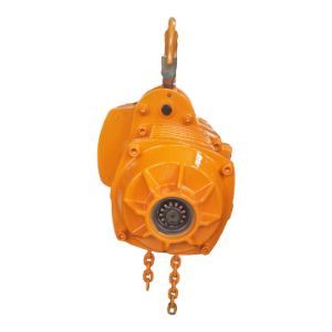 Request for 10 Tons 400 VAC 60 Hz 20 mtr chain electric hoist from Netherlands