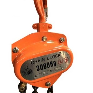 Detail ctalogue with prices, technical specifications of chain hoist for India