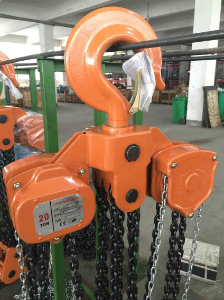Looking for 20Ton chain block with 10Meter chain and 10Ton chain block with 10Meter chain from Maldives