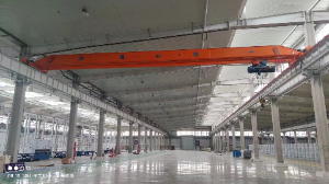 Looking for overhead crane 5 tons, 6m from Canada